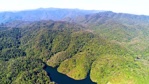 哀牢山原始森林一角:杜鹃湖!