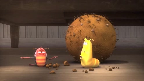 爆笑虫子:学习屎壳郎粪球上的杂耍!