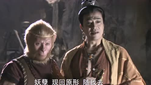 新西游记:法力无边的老鼠精竟然大有来头,现出原形后真是可爱!