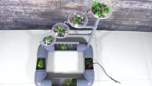 用pvc管制作水趣景观,里面还能养鱼倒是一个惊喜!