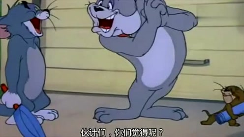 猫和老鼠:汤姆和杰瑞的和平条约,看完有啥感想呢?_1