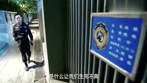 警花与警犬:杜飞回去看看天狼犬舍,结果杜飞痛哭流涕