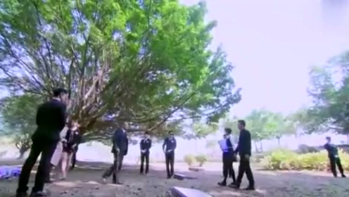 女孩做了一个动作，总裁立马知道她才是亲孙女，假千金瞬间慌了