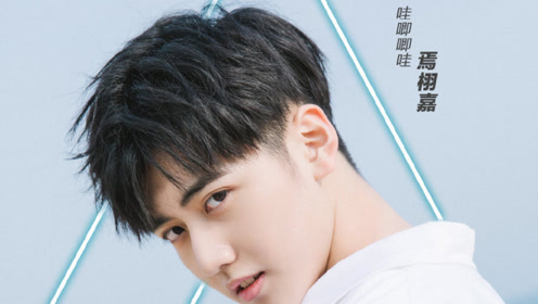 top11焉栩嘉回顾:备受宠爱小忙内获郭富城大赞:我很喜欢!