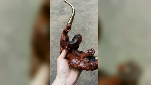 贵州檬子木根瘤独特造型烟斗欣赏!已经包浆