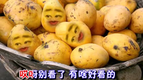爆笑改编歌曲芒果版《九月的酒》,芒果的表情太搞笑了!