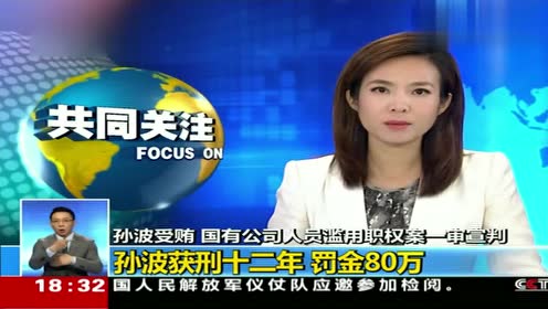 国有公司人员滥用职权案一审宣判 孙波获刑十二年 罚金80万