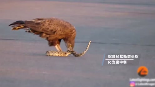 瑞典狂热幽灵骑士把摩托车速度开到300公里/小时!