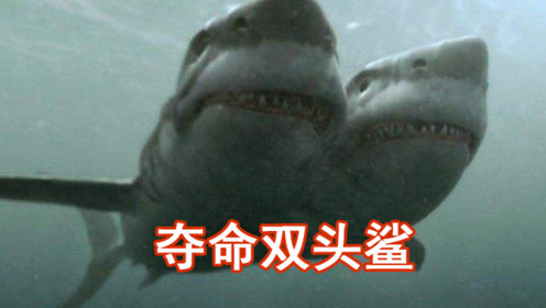 【夺命双头鲨】鲨鱼变异长出两个头,学生们出海碰上,智斗双头鲨