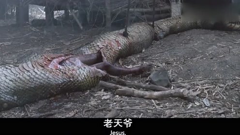 狂蟒被撑爆肚子,没想到男子看了一眼发现这条才是最大的蟒蛇,太吓人了