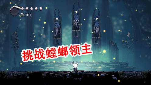 空洞骑士04:螳螂村挑战三只螳螂领主,只有强者才能得到它们的尊敬