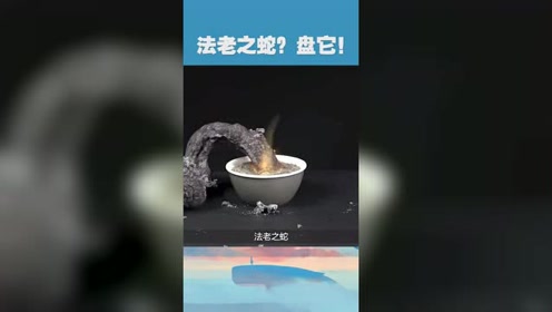 膨胀的法老之蛇,这也太酷炫了!盘它!