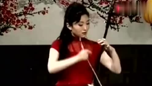 国宝级美女二胡大师独奏《洪湖随想曲》:如诉如泣,感人泪下!