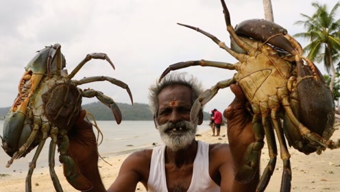 印度的巨型螃蟹,个头超级大,一起来看看印度人怎么吃!