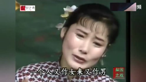 河南坠子《小寡妇上坟》