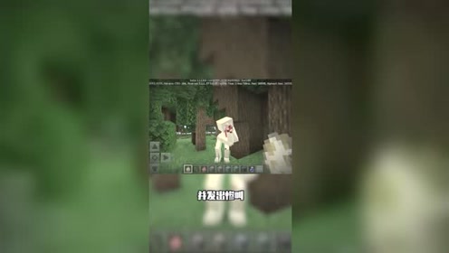我的世界:你知道强大的null最害怕什么吗?