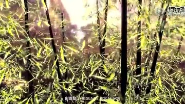 超酷AMV欣赏 A New Beginning之启程