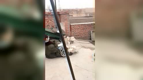 对方太强大了，这是遭遇了什么样的队友