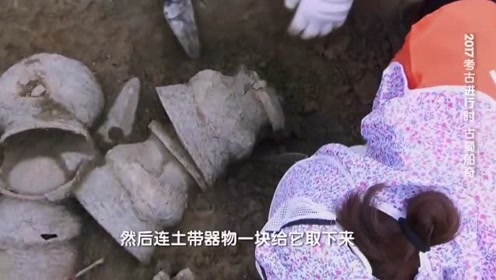 专家称从没见过陶器好薄！碰触裂了！已经不可弥补的损伤！