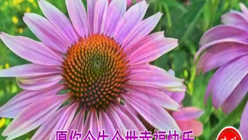 新歌！新歌！一曲伤感对唱《红尘情殇泪》听醉了！