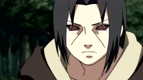 说实话,八尾打佐助这时候没用全力,感觉是在玩耍