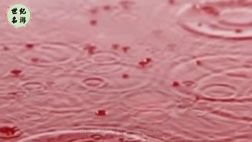 印度下了几个月的“血雨“，难道有另一个世界吗？到底是怎么回事