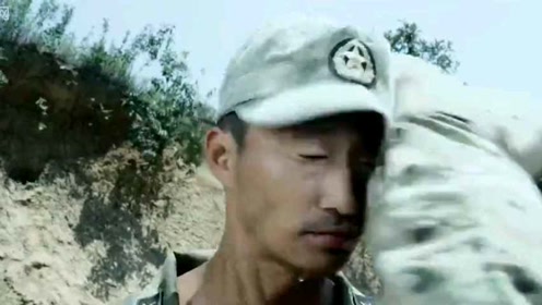 冷峰被老猫一脚劈下来，狠狠的坠地，看得人替他捏了一把汗