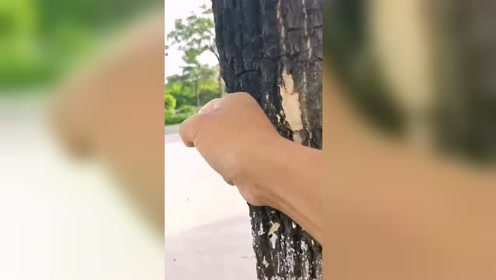厚厚的手茧,沙包大的拳头,这才是真正的习武之人!