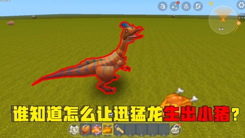 迷你世界辉叔:如何让迅猛龙生出小猪仔呢?让辉叔来教你!