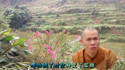 印良法师《佛缘》,很静心的一首佛曲