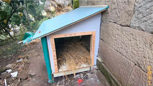 给狗狗搭建一个温馨的狗窝,这样搭建的窝棚冬暖夏凉好看又牢固