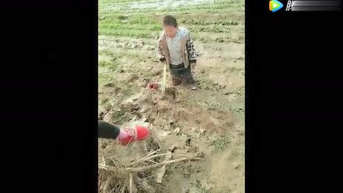 大人在一旁浇地!调皮的孩子却陷在泥潭里了!真是让大人不省心