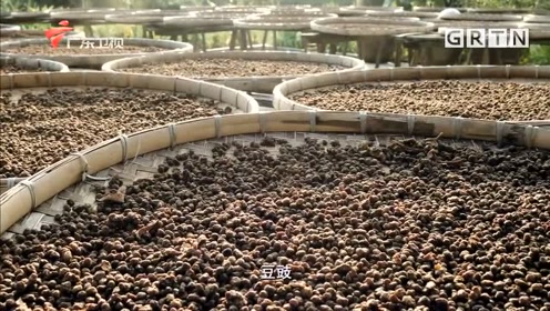 老广的味道:豆豉是老广最爱的调料,价格虽廉制作却很考验功夫
