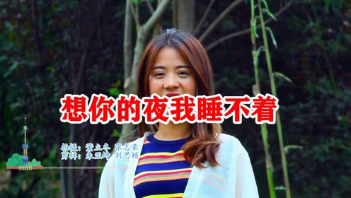 dj版《想你的夜我睡不着》甜蜜对唱,醉人醉心,太好听了!