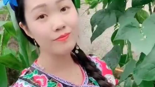 云南山歌:哥有情来妹有意,生活过的才甜蜜,好听极了媲美歌手!