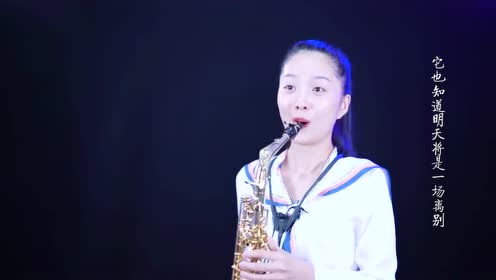 女孩一首经典沧桑的网络热歌《别知己》,萨克斯版别有风味!