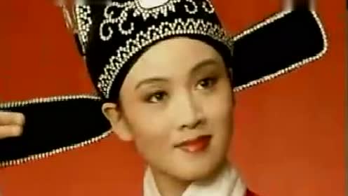 黄梅戏 女驸马 谁料皇榜中状元 韩再芬 mtv