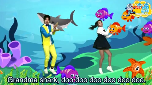《鲨鱼宝宝 baby shark》幼儿体智能