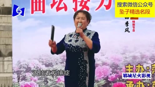 刘瑞莲的师姐演唱河南坠子《五子图》字正腔圆