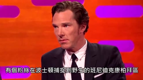 "卷福"本尼迪克特康伯巴奇被粉丝写文挑逗,约翰尼德普笑而不语