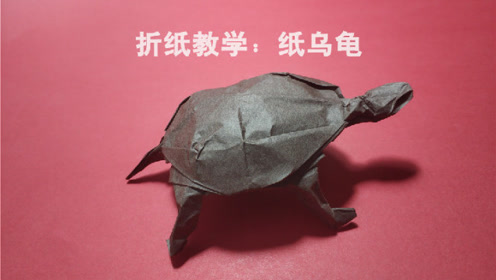 手工折纸,教你如何折出一只逼真的小乌龟,简单易学
