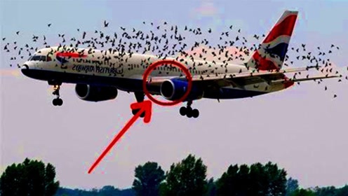 惊险!可怕的飞机危机时刻!飞机竟然还未着地就这样了?
