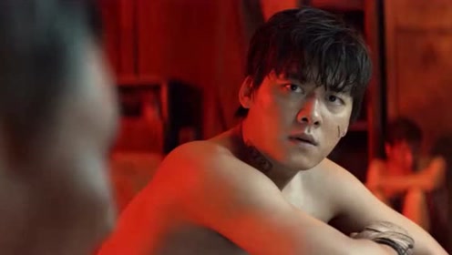 动物世界：居然有比李易峰天真的人，这行为真是傻到家了！