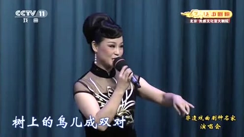 黄梅戏《天仙配》经典选段, 演唱 王琴, 董家林