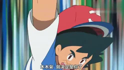神奇宝贝:神秘精灵球,小智最强的草系宝可梦——木木枭