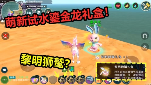 创造与魔法:萌新再次试水鎏金龙礼盒!66个礼盒能否出鎏金龙