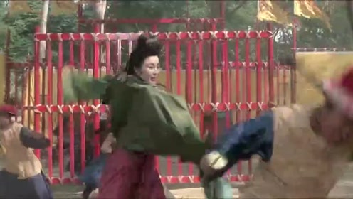武状元苏乞儿:张敏才最"绝色武器",一把长剑直插皇帝,硬是把皇帝杀死
