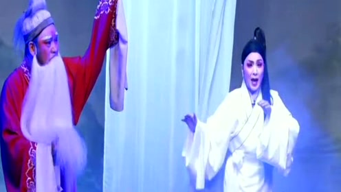 林燕云 林武燕 演出潮剧《梦会》