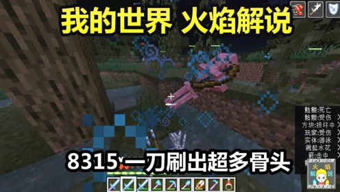 我的世界 火焰解说 8315 一刀刷出超多骨头