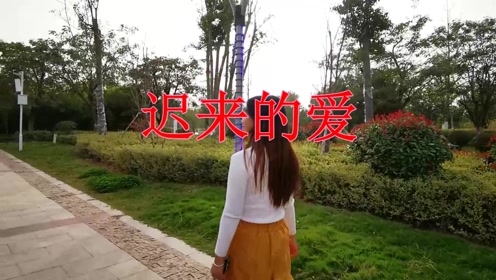 很好听的一首歌《迟来的爱》值得您一听